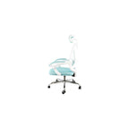 Elama Full Back Mesh Adjustable Office Chair with Headrest (Blue/White)