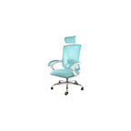 Elama Full Back Mesh Adjustable Office Chair with Headrest (Blue/White)