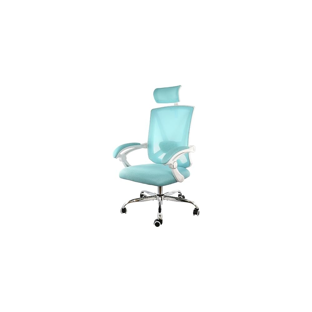 Elama Full Back Mesh Adjustable Office Chair with Headrest (Blue/White)