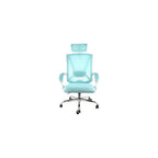 Elama Full Back Mesh Adjustable Office Chair with Headrest (Blue/White)