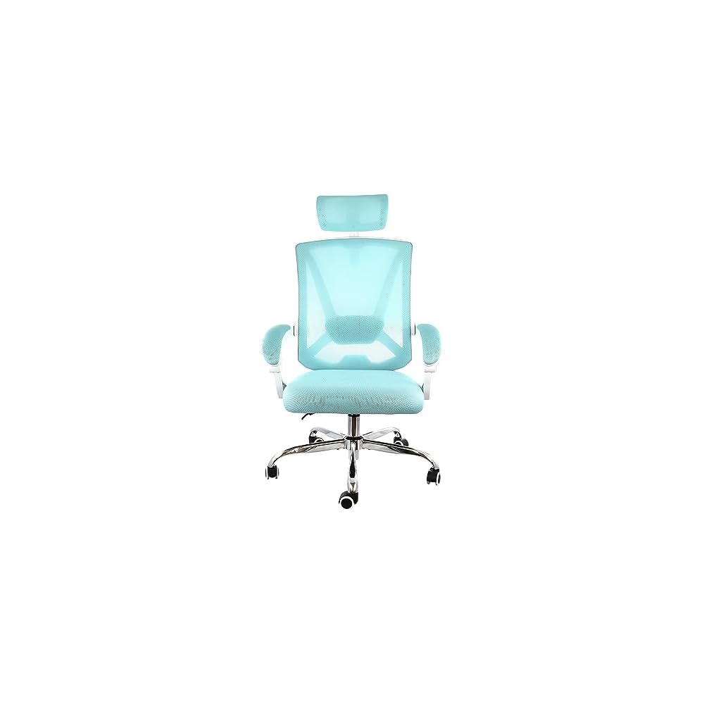Elama Full Back Mesh Adjustable Office Chair with Headrest (Blue/White)