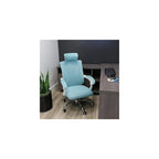 Elama Full Back Mesh Adjustable Office Chair with Headrest (Blue/White)