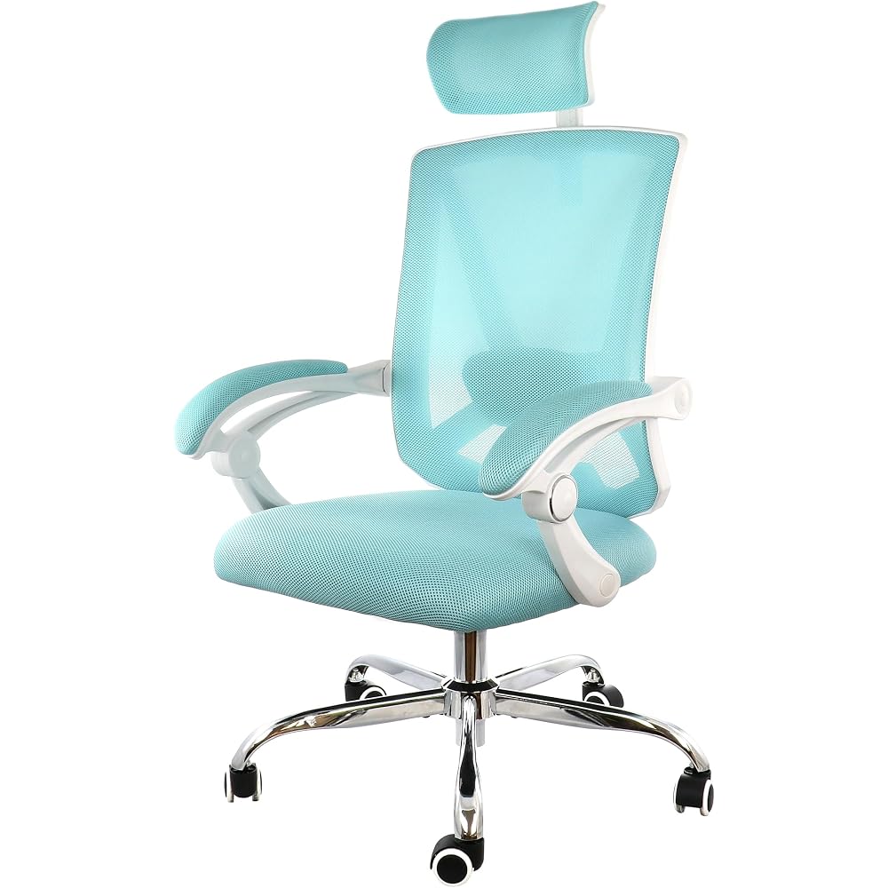 Elama Full Back Mesh Adjustable Office Chair with Headrest (Blue/White)